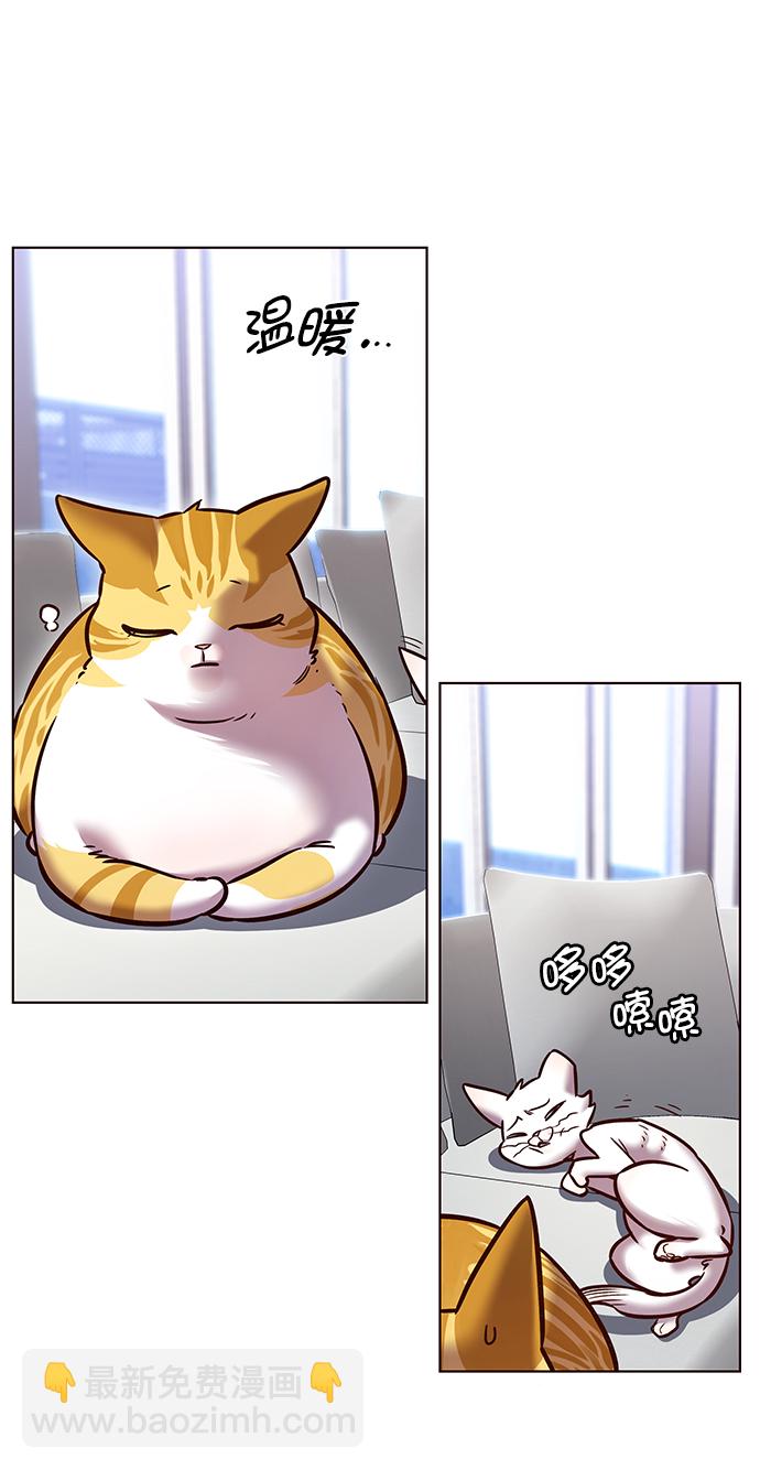 第229话20
