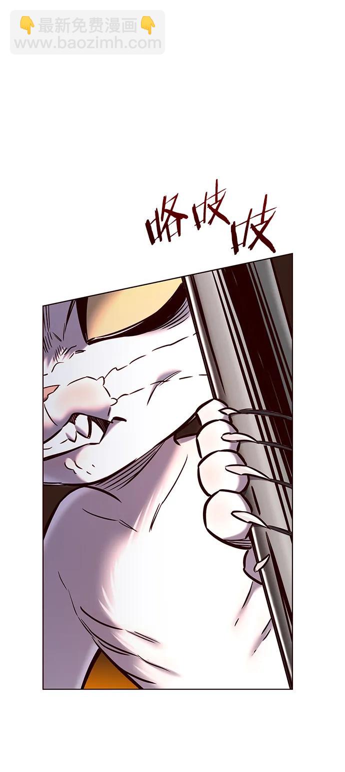 第249话41