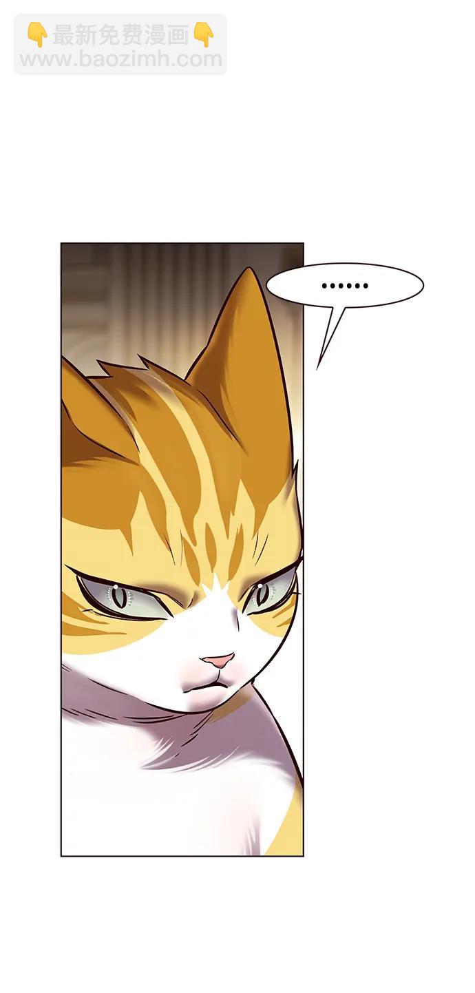第250话29