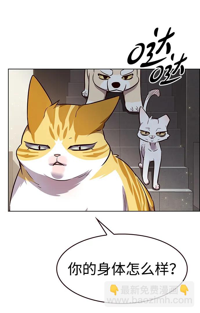 第337话27