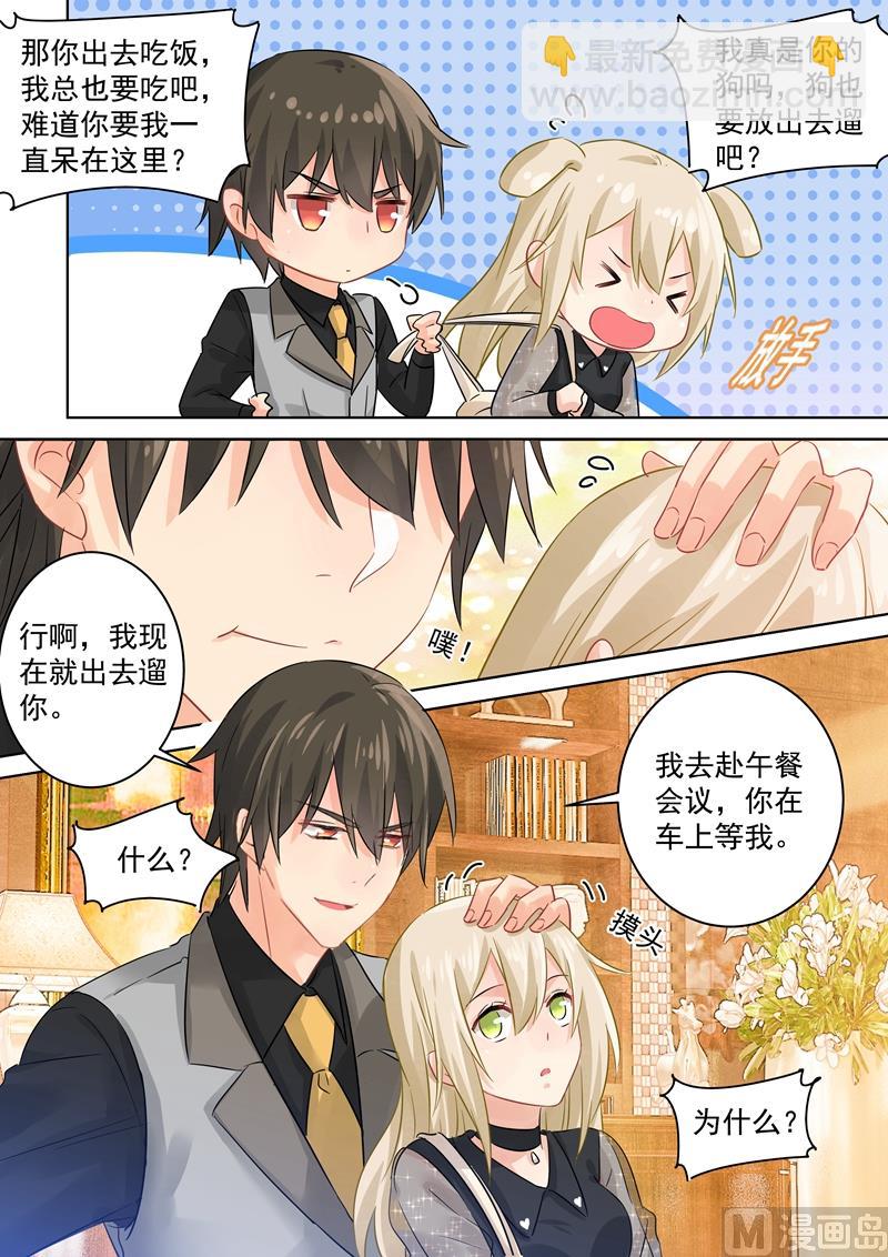 第105话 宠物般的生活4