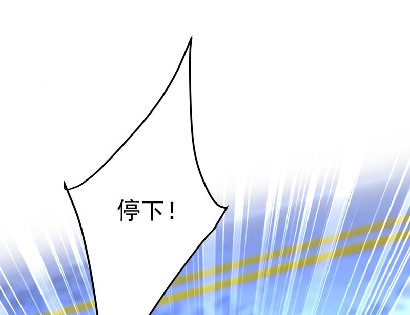 时小念，给我停车！0