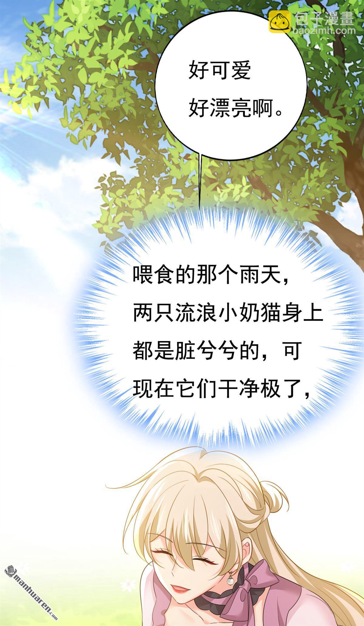 第621回 你居然会养猫？11
