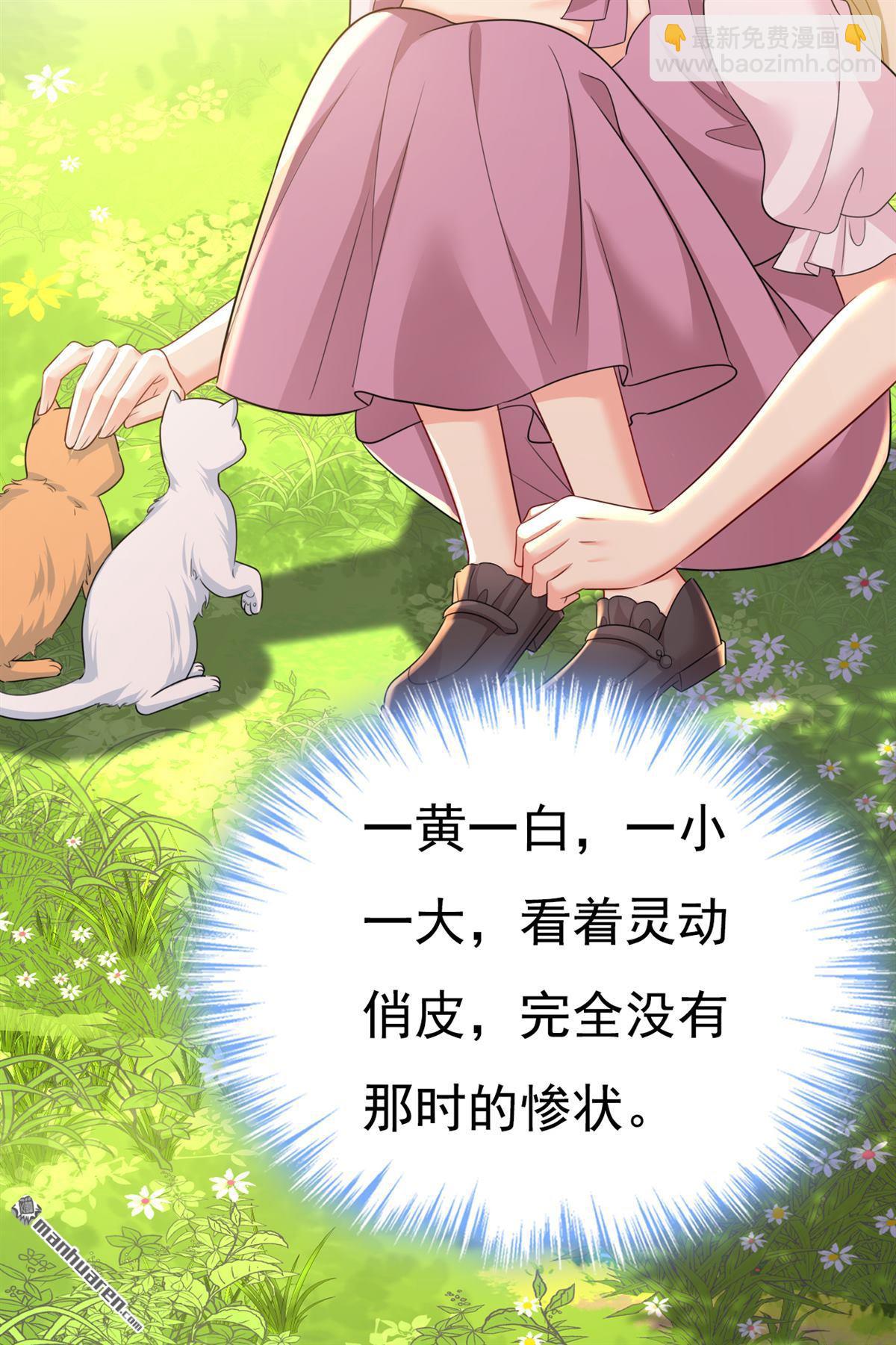 第621回 你居然会养猫？12