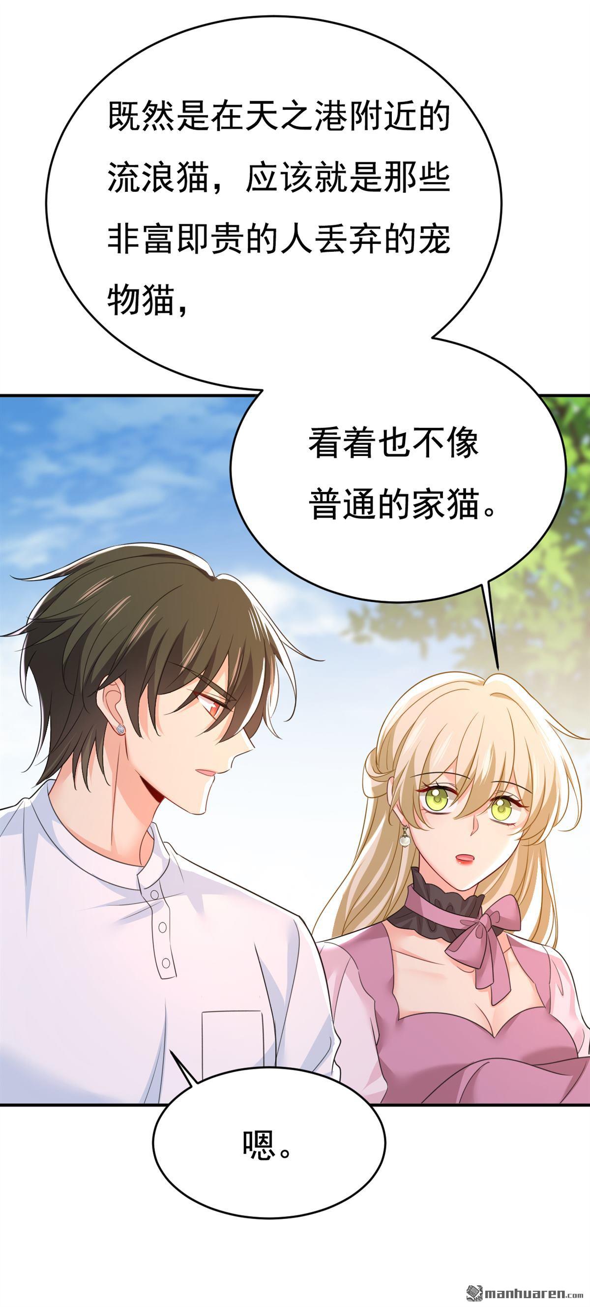 第621回 你居然会养猫？14