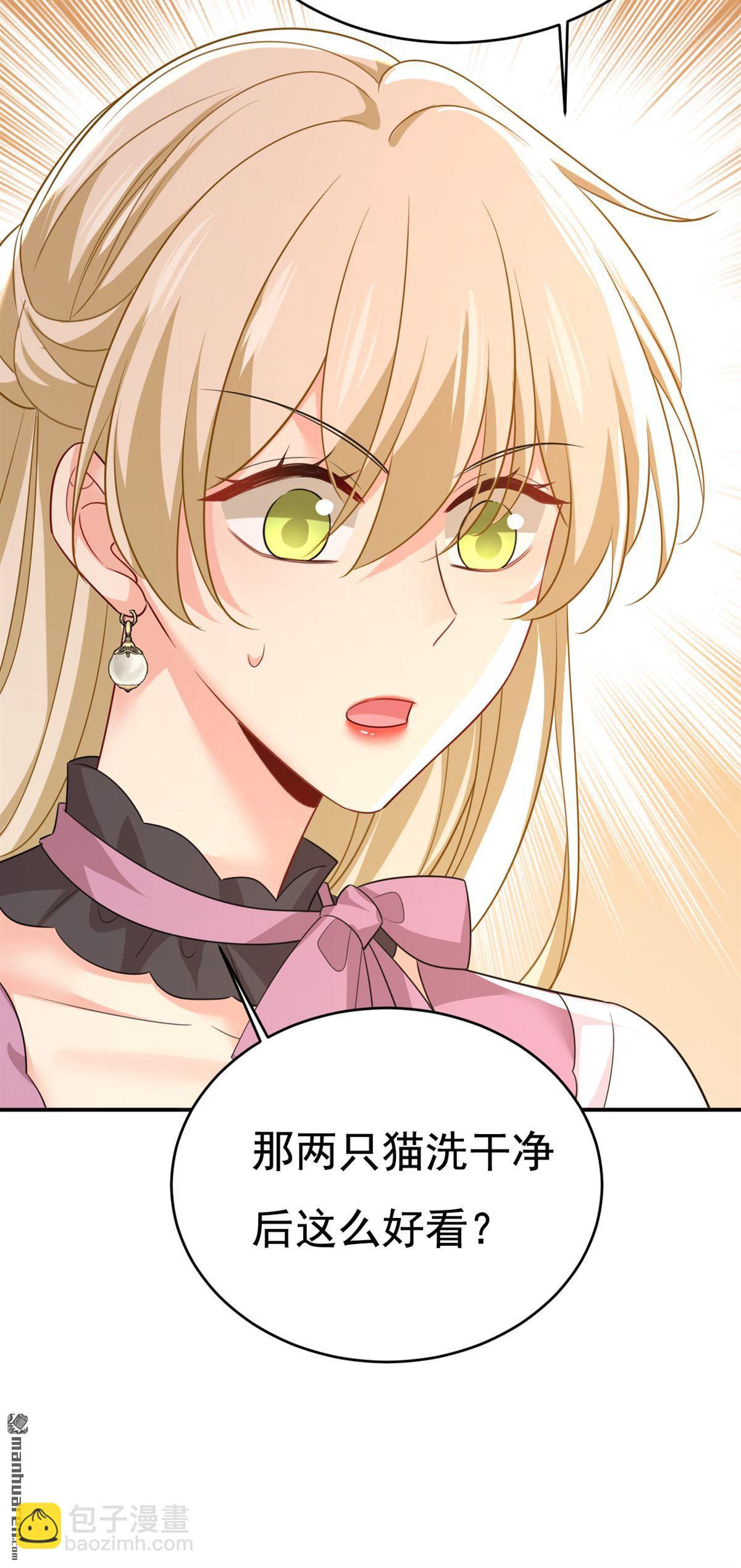 第621回 你居然会养猫？9