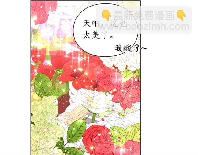第42话 贵妇茶话会118