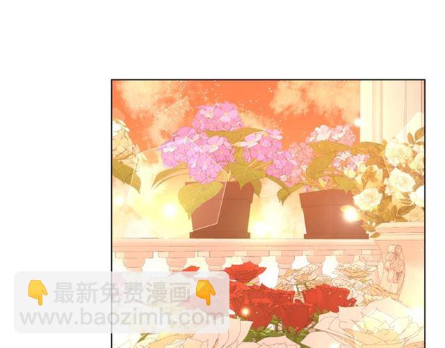 第44话 花的含义54