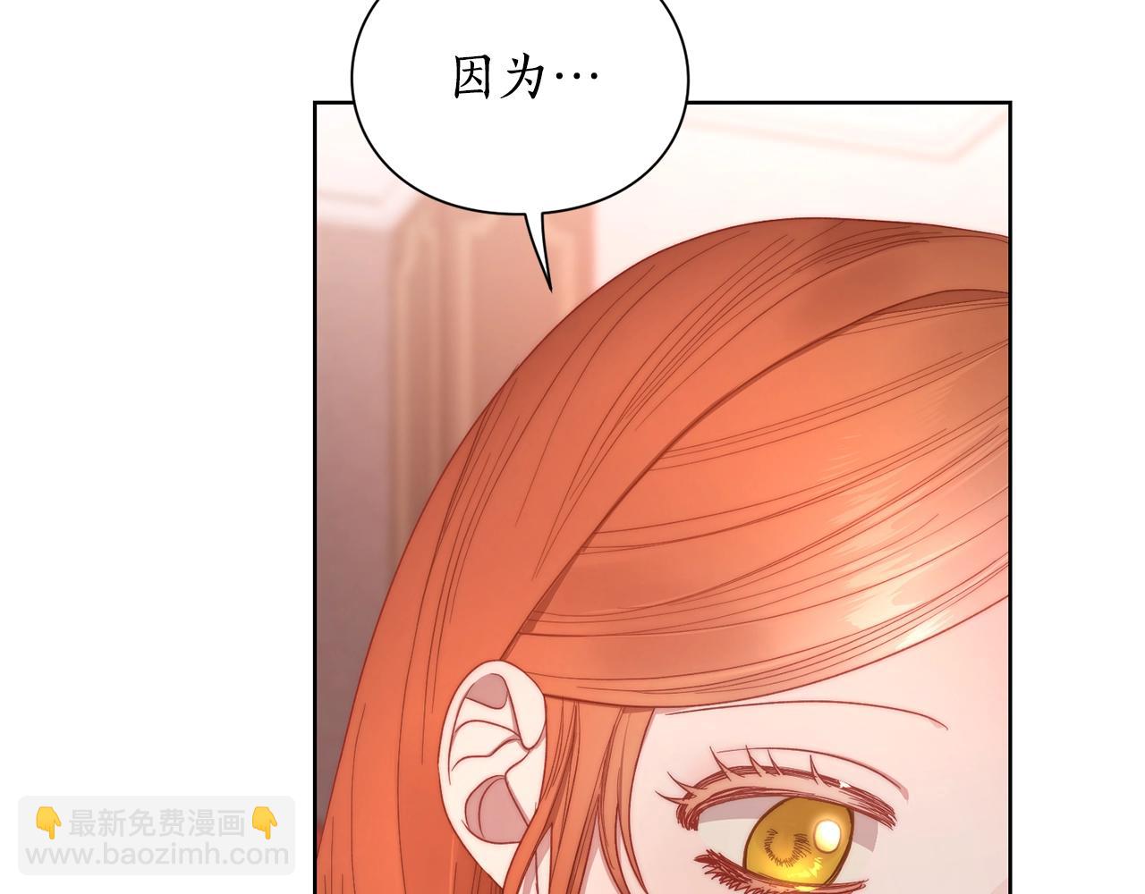 第103话 因为他像你11