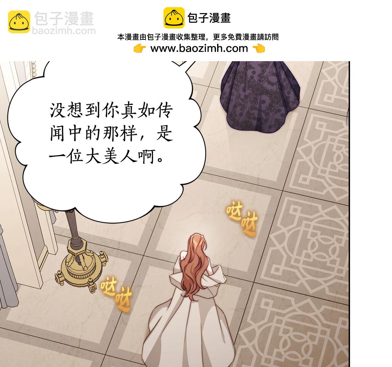 第148话 茶话会163