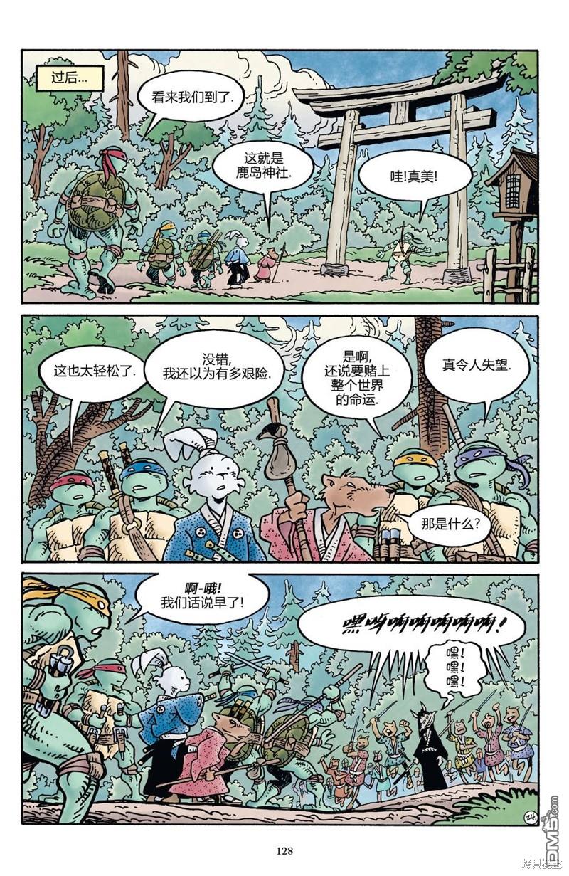 龟兔联动201725