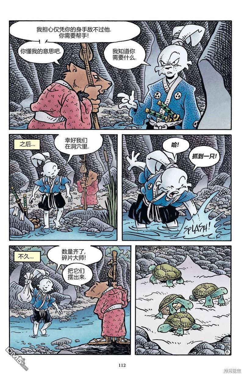 龟兔联动20179
