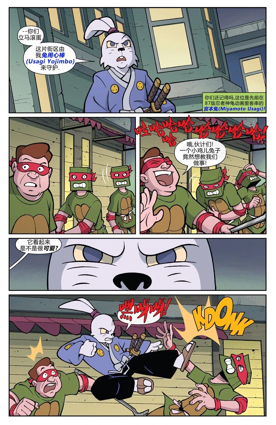 龟兔联动19876