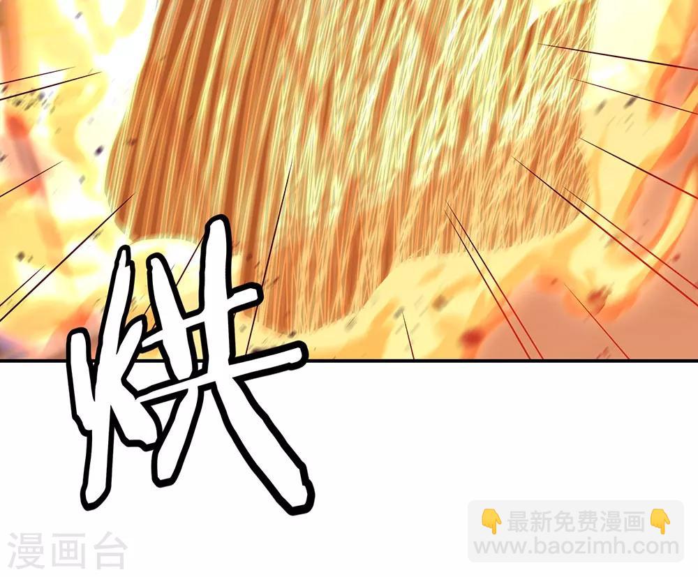 第251话 少宗主16