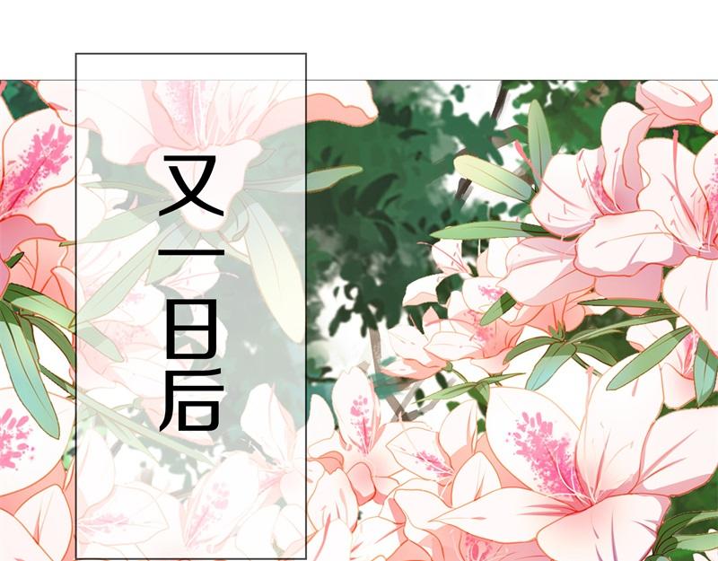 第735话 天地妙果165