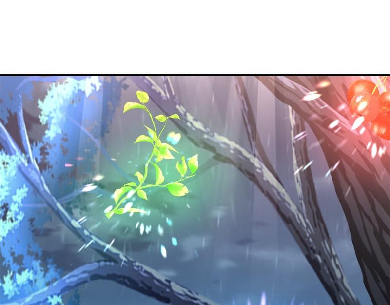 第740话 还有这种好事34
