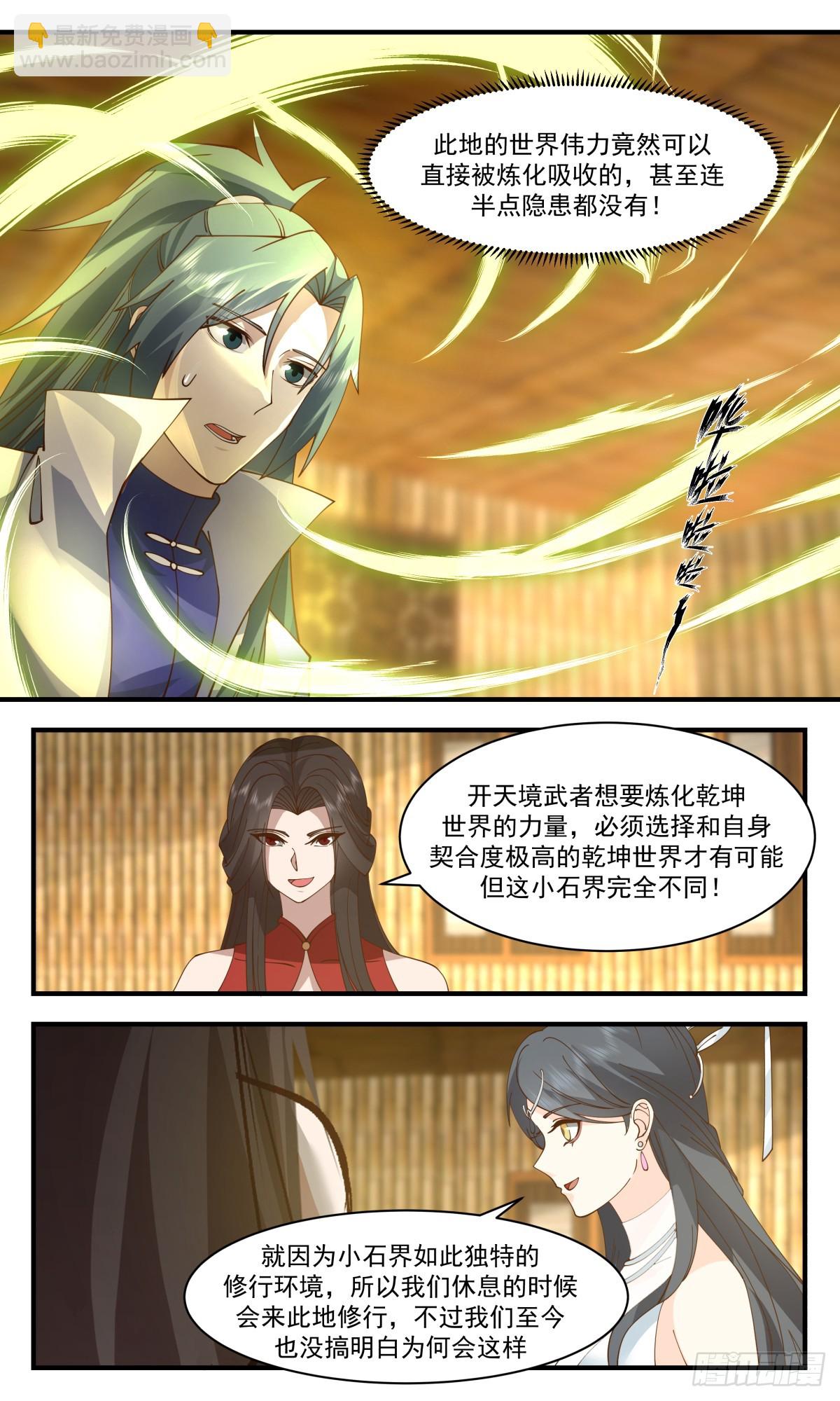 2939 小石界篇-小石族2