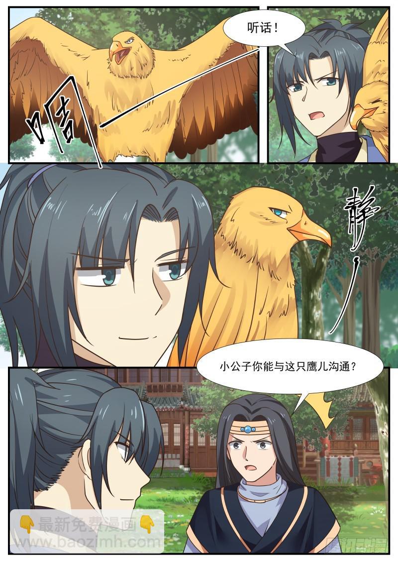 340 认准这只鹰1
