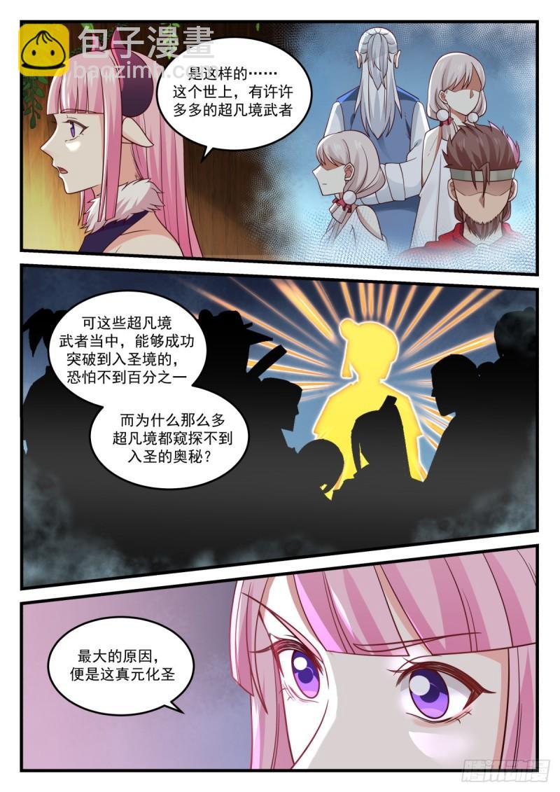 791 真元化圣8