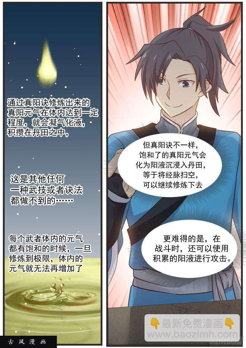29 真阳诀7
