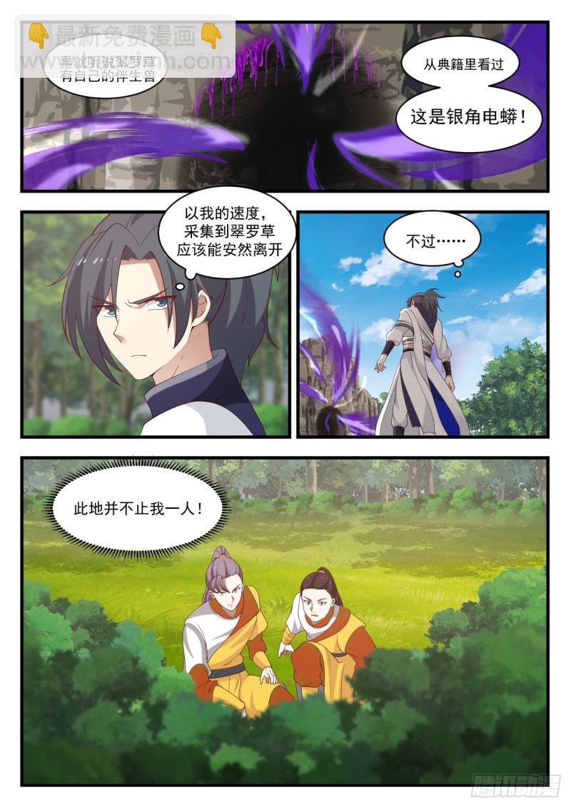 1091 翠罗草12