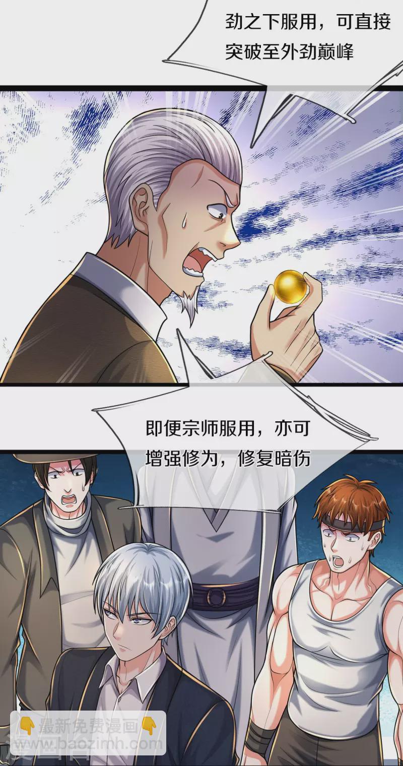 第488话 以物换物，顶级丹药12