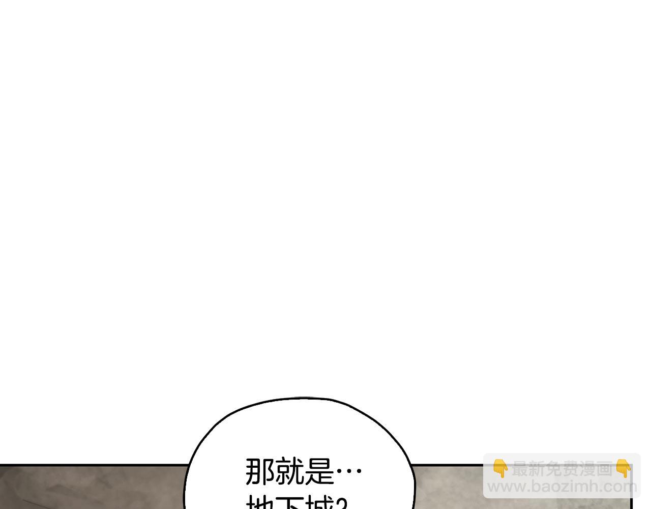 第135话 幻影魔法8