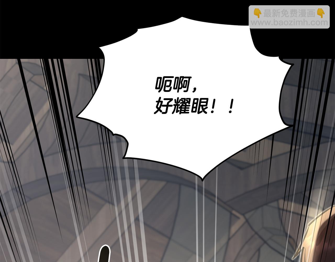 第147话 宝石的意义230