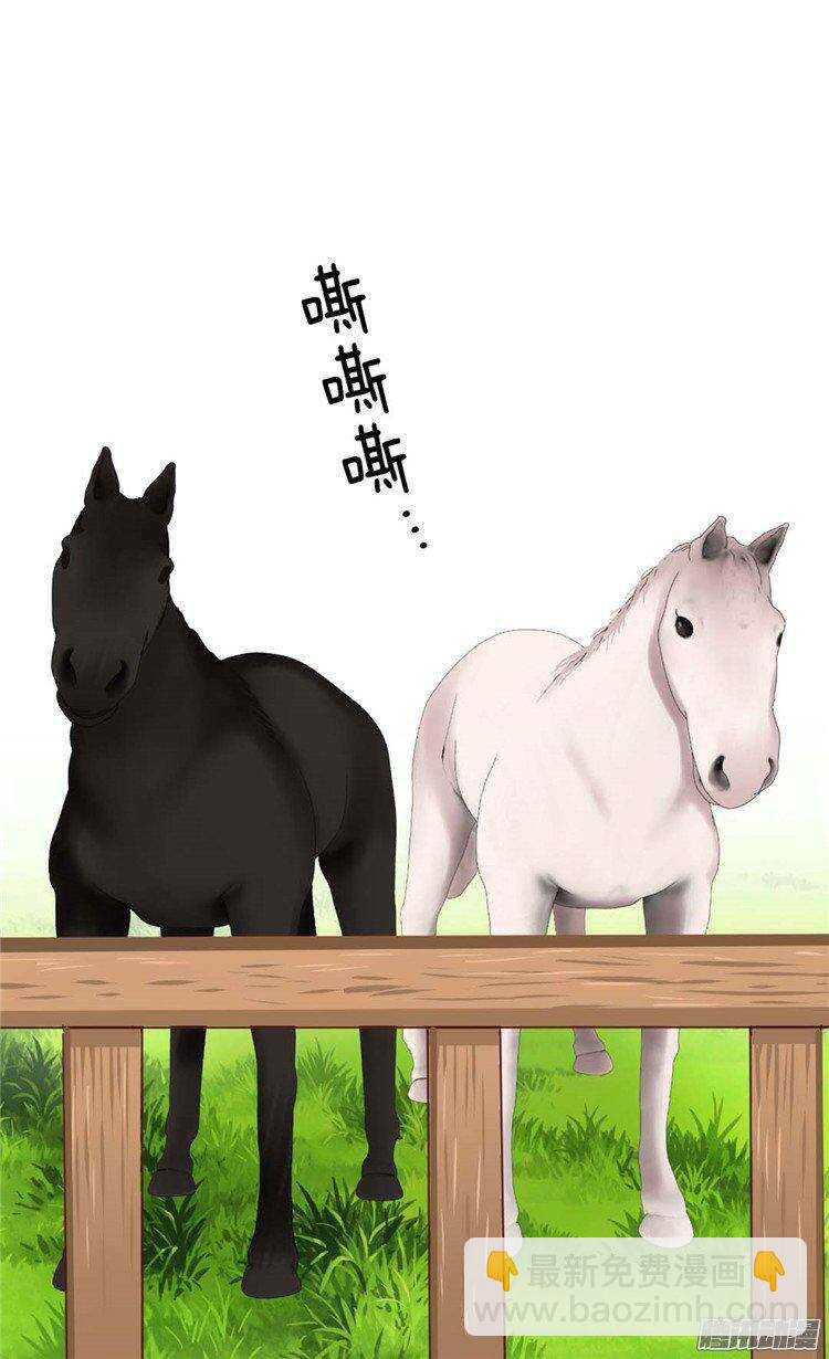 第35话 挑选坐骑1