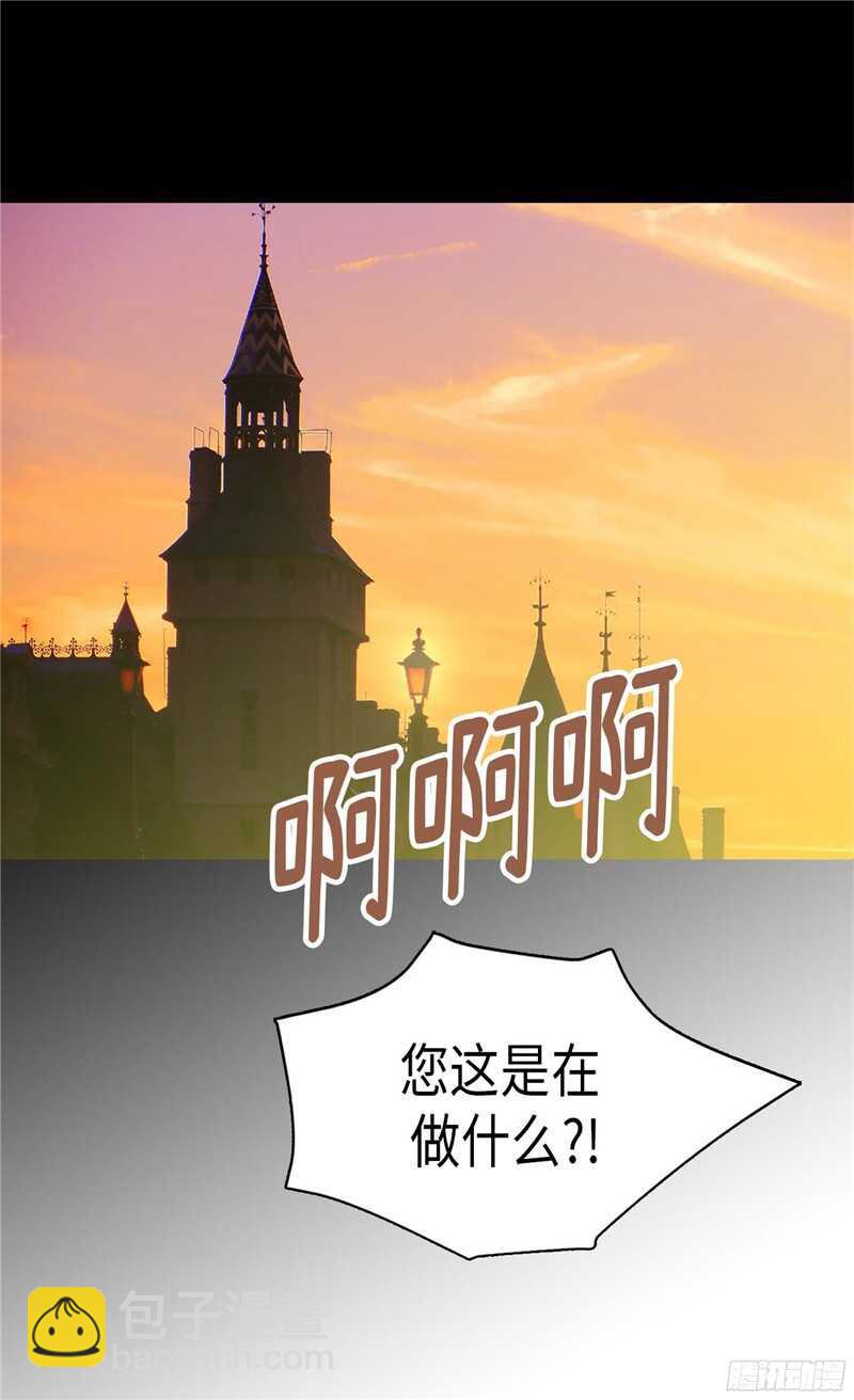 第113话 枢密院会议1