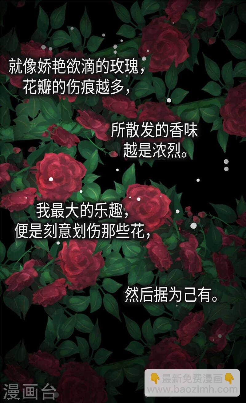 第202话 一切都在计划中9