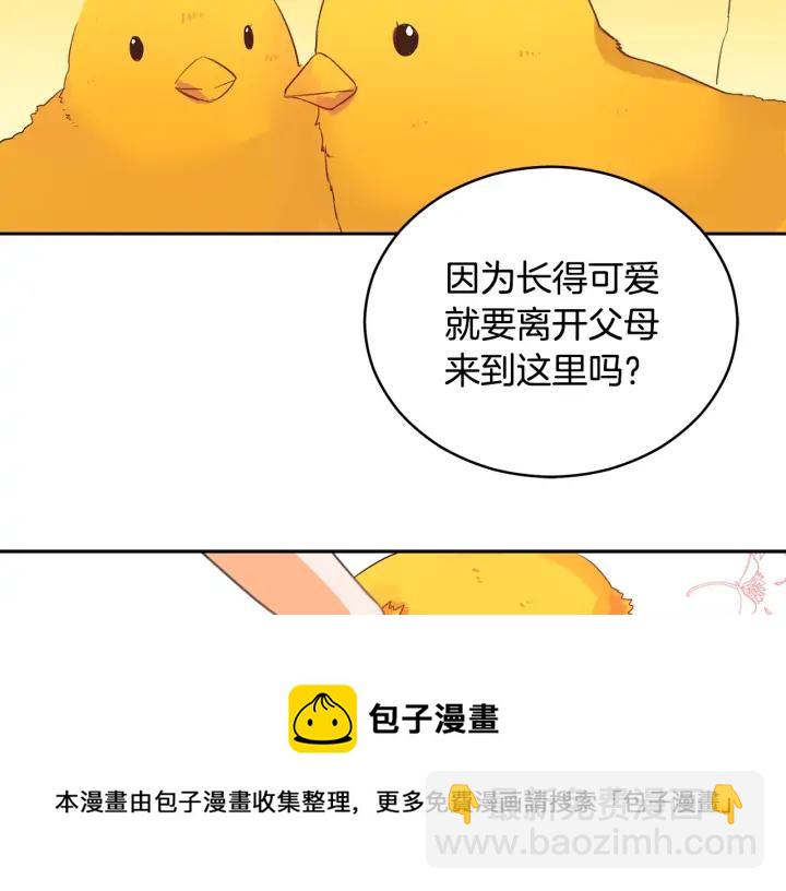 第31话 你买过男人吗？76