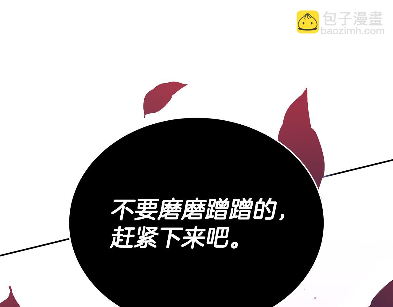 第108话 摇摆不定207