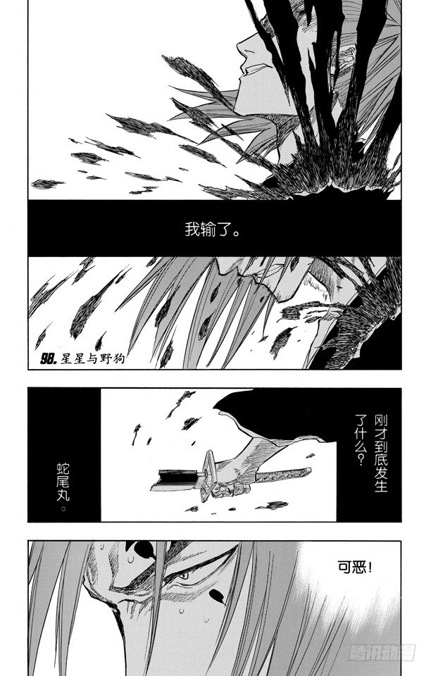 第98话 星星与野狗0