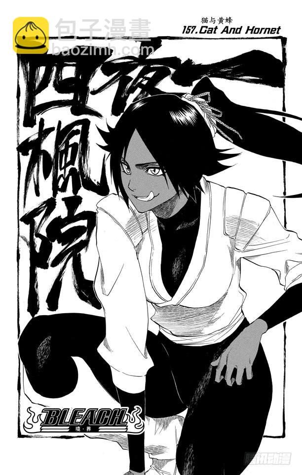 第157话 猫与黄蜂5