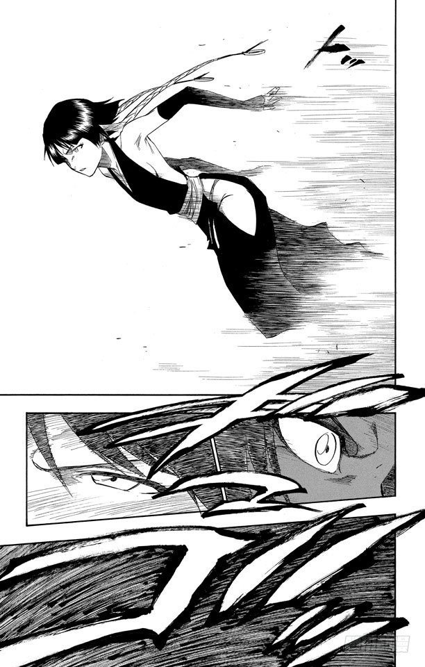 第157话 猫与黄蜂8