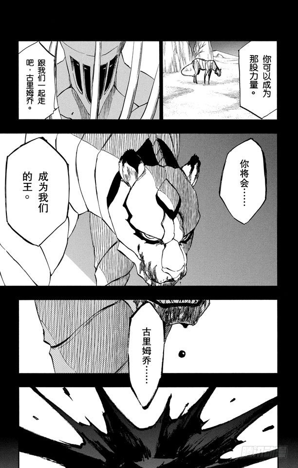 第284话 豹王和它的阴影故事10