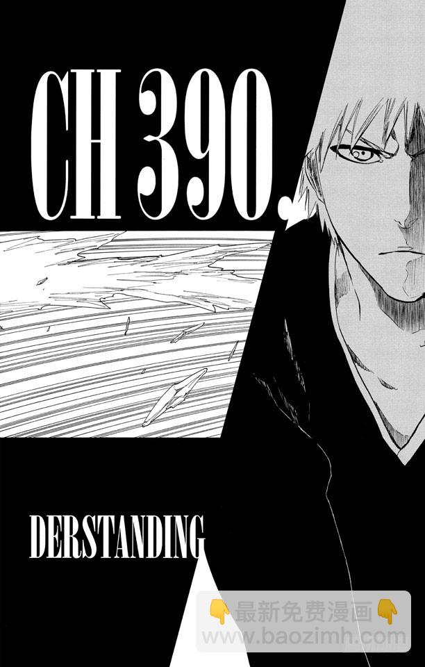 第390话 超出死神的理解5
