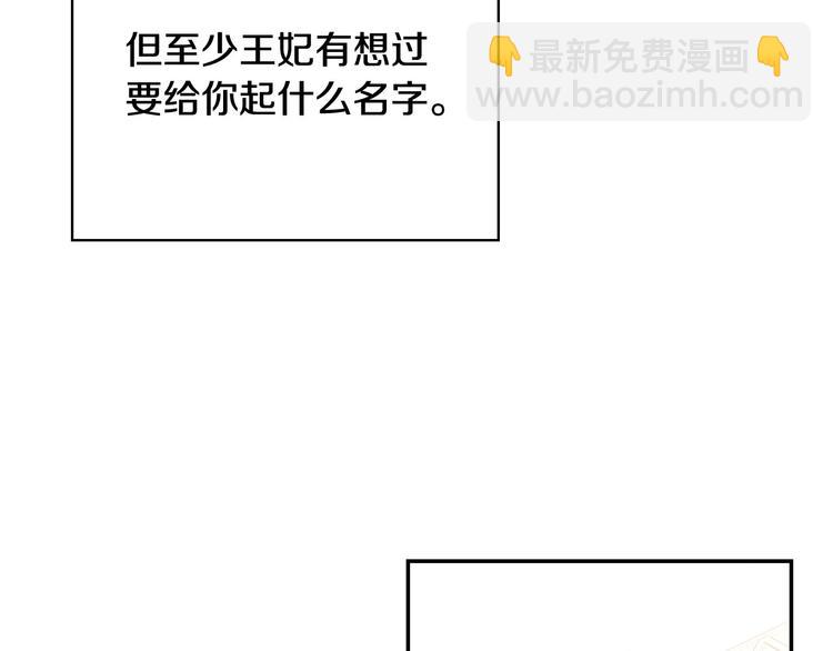 第30话 王妃还有姐妹？45