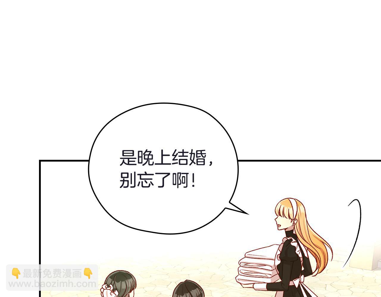 第111话 回王妃宫146