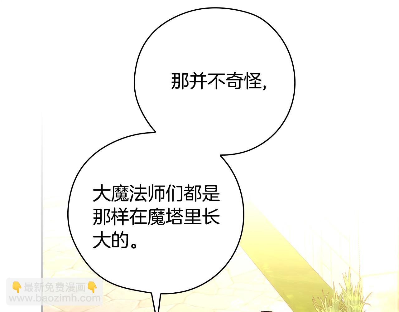 第117话 想杀大魔法师？116