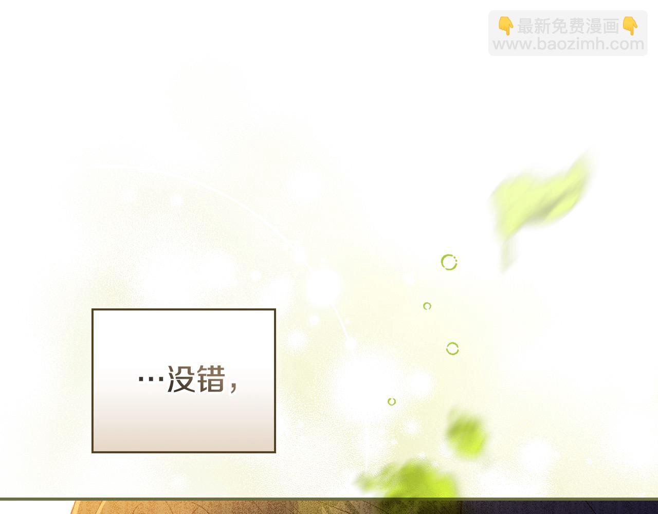第117话 想杀大魔法师？167