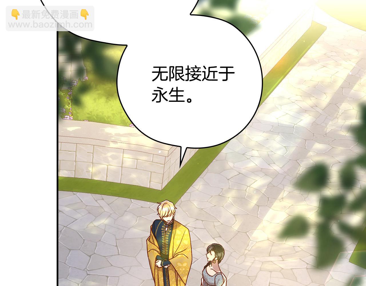 第117话 想杀大魔法师？97