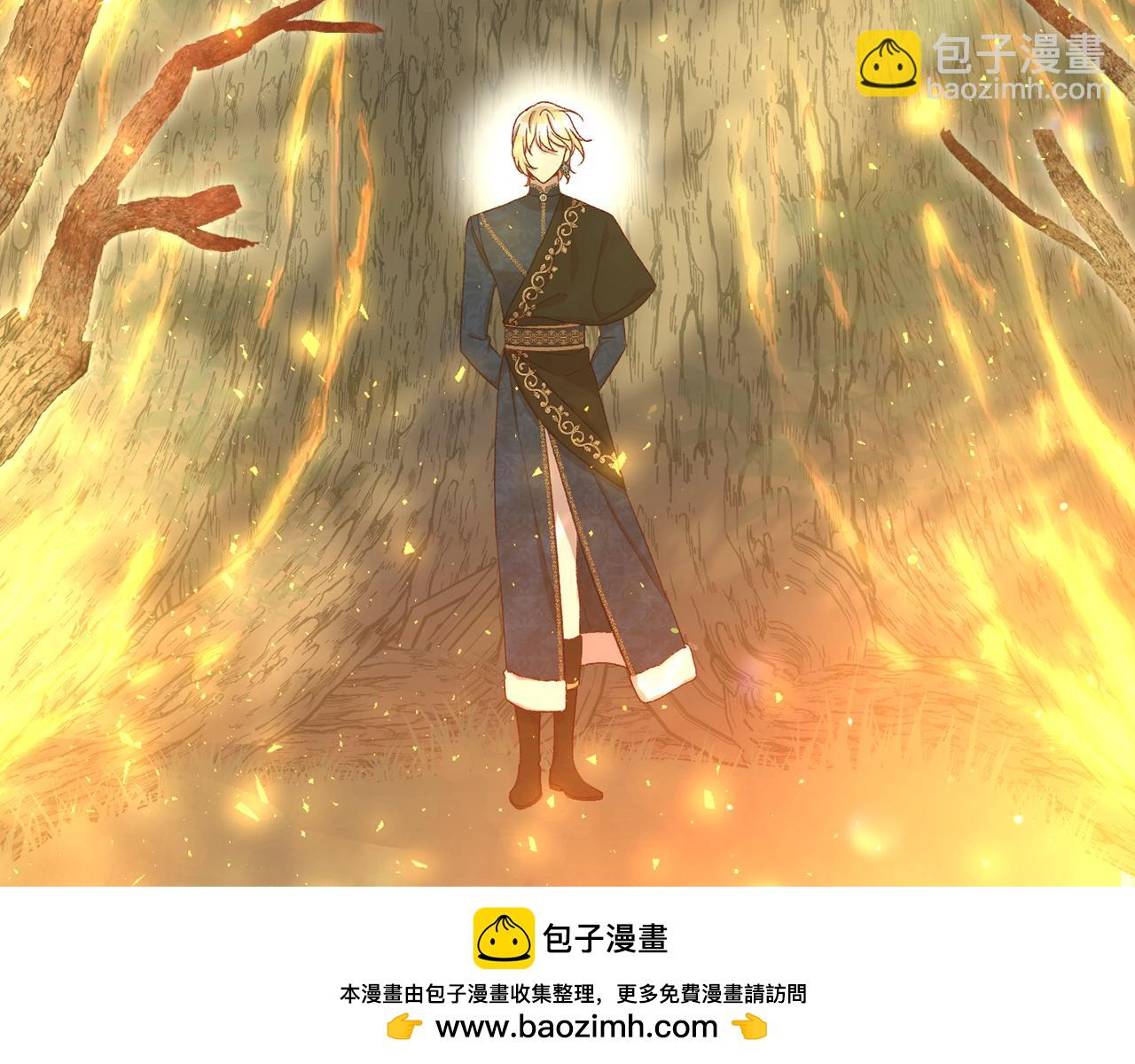 第135话 黑魔法师161
