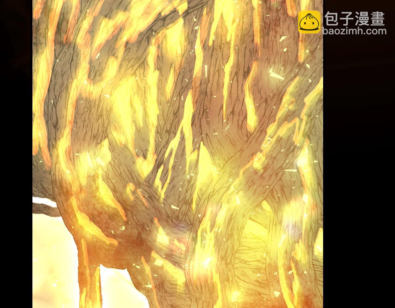 第135话 黑魔法师166