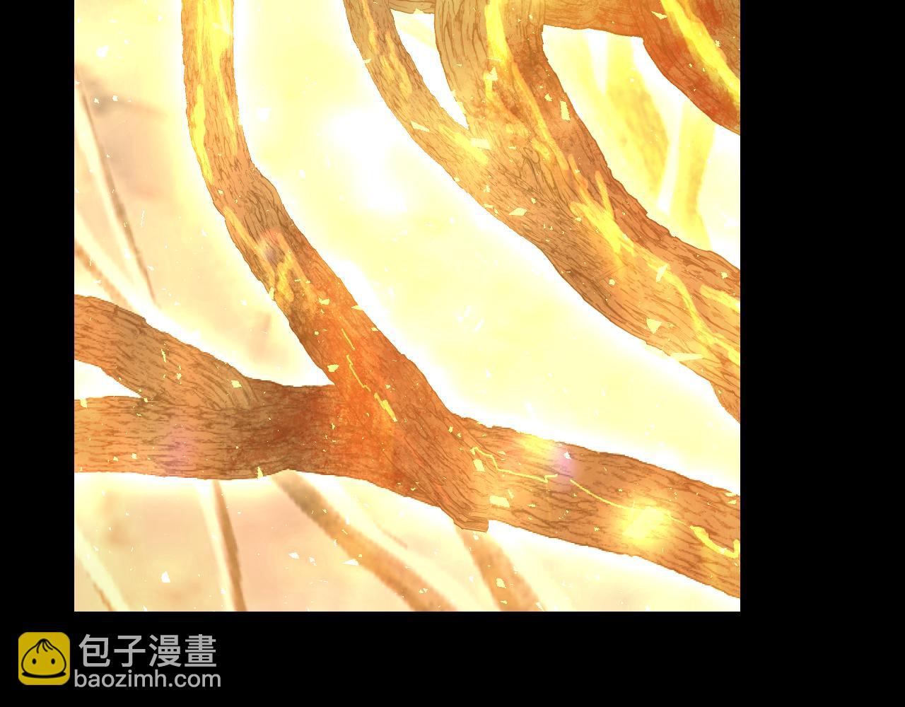第135话 黑魔法师167