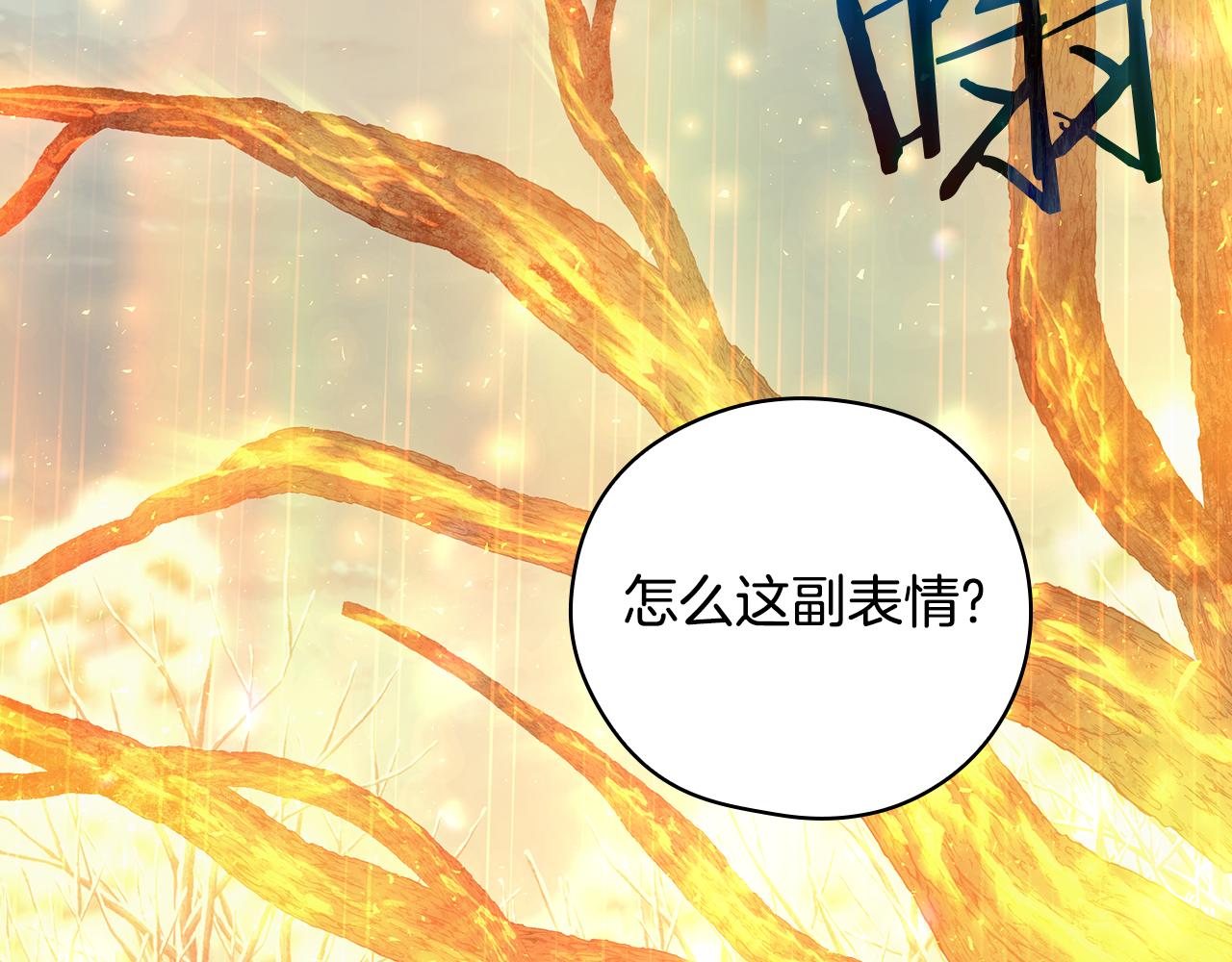 第135话 黑魔法师173