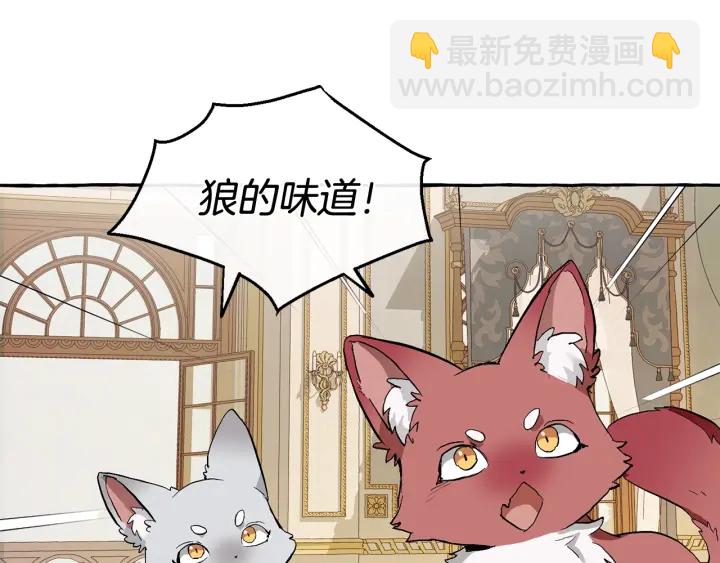 第43话 大概是柔弱123