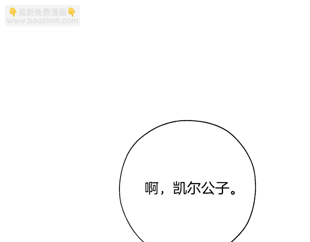 第62话 银光公子？！89