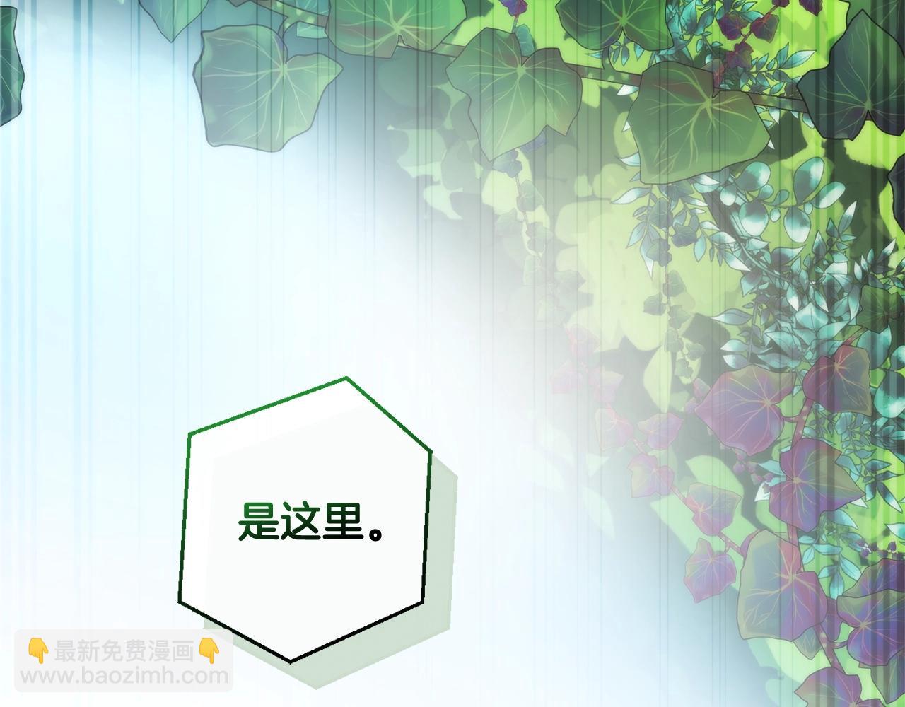 第118话 行动开始146